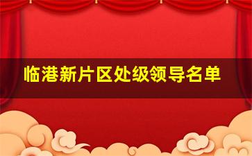 临港新片区处级领导名单