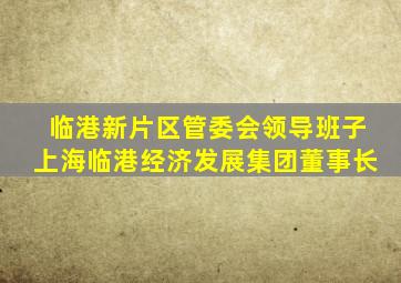 临港新片区管委会领导班子上海临港经济发展集团董事长