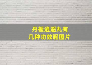 丹栀逍遥丸有几种功效呢图片