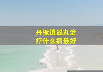 丹栀逍遥丸治疗什么病最好