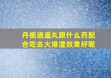 丹栀逍遥丸跟什么药配合吃去火排湿效果好呢