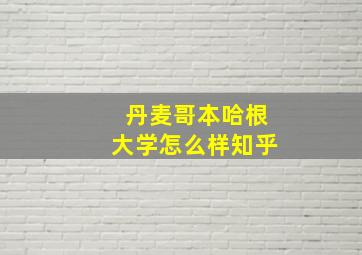 丹麦哥本哈根大学怎么样知乎