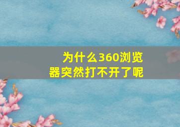 为什么360浏览器突然打不开了呢