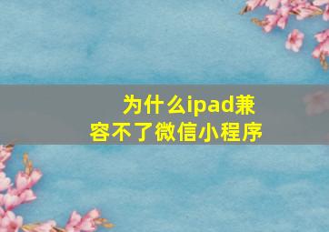 为什么ipad兼容不了微信小程序