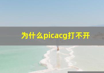 为什么picacg打不开