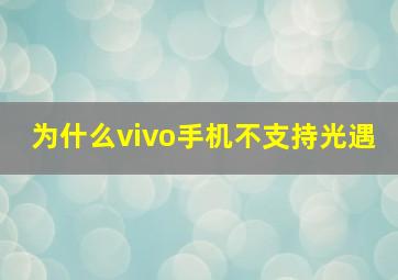 为什么vivo手机不支持光遇