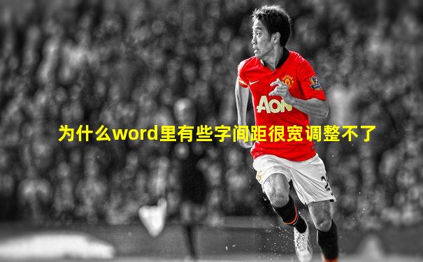 为什么word里有些字间距很宽调整不了