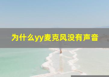 为什么yy麦克风没有声音