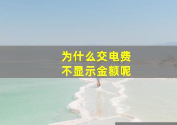 为什么交电费不显示金额呢