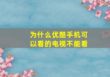 为什么优酷手机可以看的电视不能看