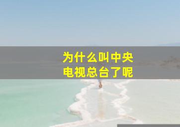 为什么叫中央电视总台了呢