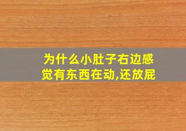 为什么小肚子右边感觉有东西在动,还放屁