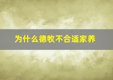 为什么德牧不合适家养