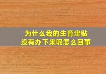 为什么我的生育津贴没有办下来呢怎么回事