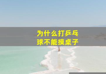 为什么打乒乓球不能摸桌子