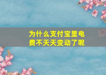 为什么支付宝里电费不天天变动了呢