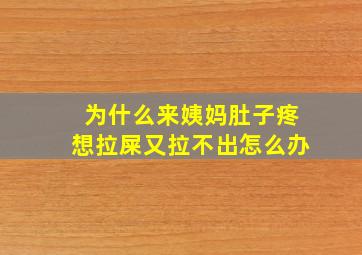 为什么来姨妈肚子疼想拉屎又拉不出怎么办