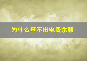 为什么查不出电费余额