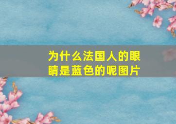 为什么法国人的眼睛是蓝色的呢图片