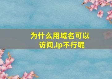 为什么用域名可以访问,ip不行呢