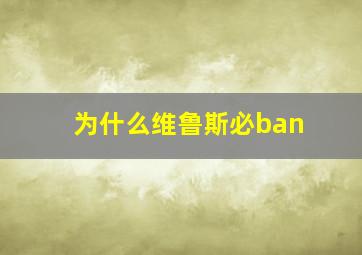 为什么维鲁斯必ban