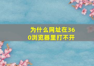 为什么网址在360浏览器里打不开