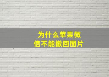 为什么苹果微信不能撤回图片