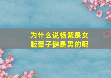 为什么说杨紫是女版董子健是男的呢