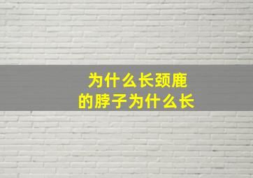 为什么长颈鹿的脖子为什么长