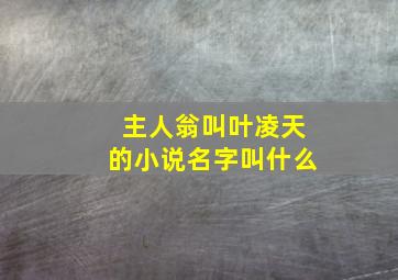 主人翁叫叶凌天的小说名字叫什么