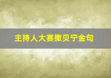 主持人大赛撒贝宁金句