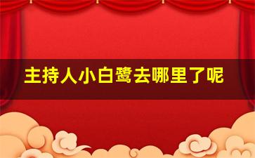 主持人小白鹭去哪里了呢