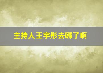 主持人王宇彤去哪了啊