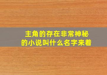 主角的存在非常神秘的小说叫什么名字来着