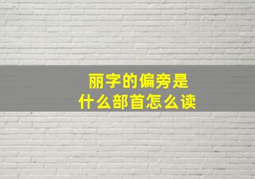 丽字的偏旁是什么部首怎么读