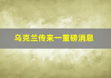 乌克兰传来一重磅消息