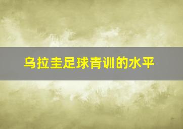 乌拉圭足球青训的水平