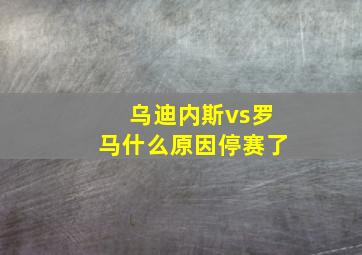 乌迪内斯vs罗马什么原因停赛了