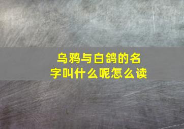 乌鸦与白鸽的名字叫什么呢怎么读