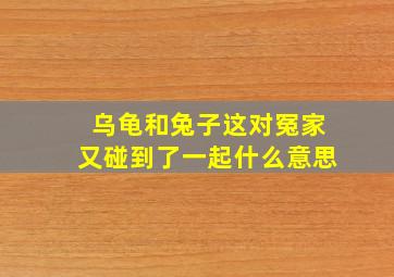 乌龟和兔子这对冤家又碰到了一起什么意思