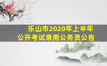 乐山市2020年上半年公开考试录用公务员公告