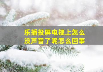 乐播投屏电视上怎么没声音了呢怎么回事