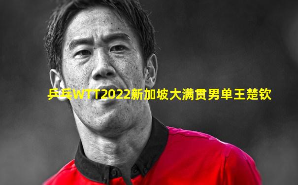 乒乓WTT2022新加坡大满贯男单王楚钦