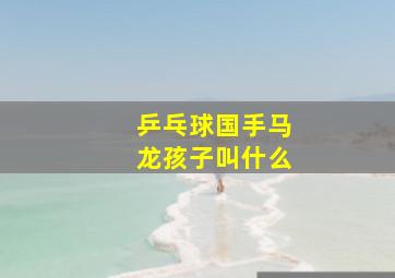 乒乓球国手马龙孩子叫什么