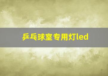 乒乓球室专用灯led