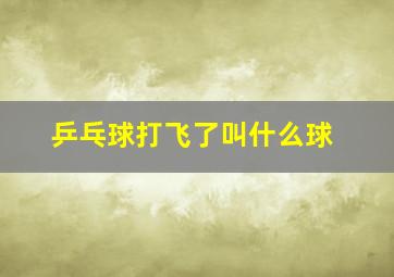 乒乓球打飞了叫什么球