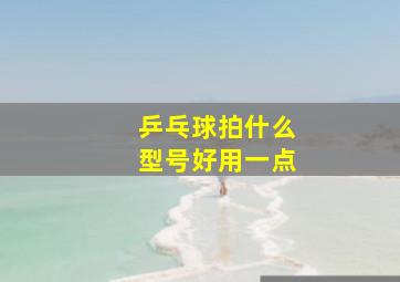 乒乓球拍什么型号好用一点