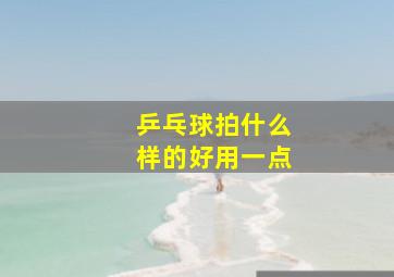 乒乓球拍什么样的好用一点