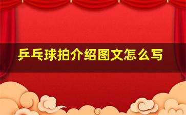 乒乓球拍介绍图文怎么写