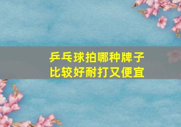 乒乓球拍哪种牌子比较好耐打又便宜